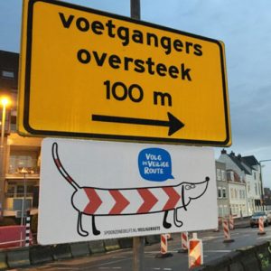 Spoorzone Delft ’teckelt’ gevaarlijk gedrag