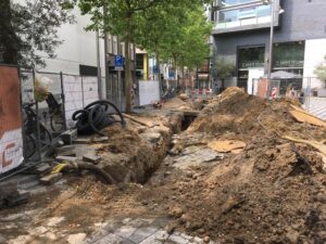 Bomen over bomen: wat kan er beter?